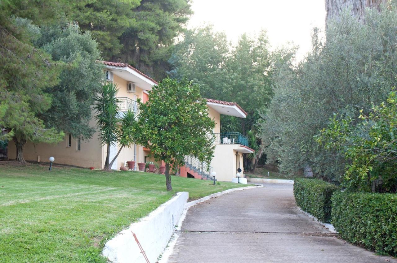 Oasis Olympia Apartments Smila Exterior photo
